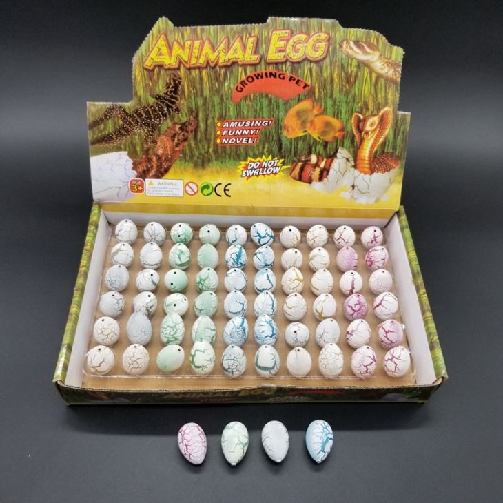 Water Hatching Growing Dinosaur Eggs